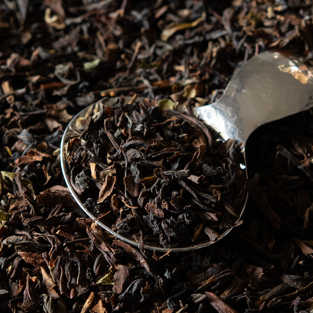 Everyday Darjeeling