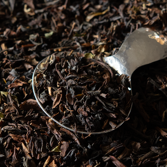 Everyday Darjeeling